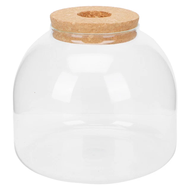 Micro Landscape Ecological Bottle Air Plant Terrarium Vase Fish Tank Stand