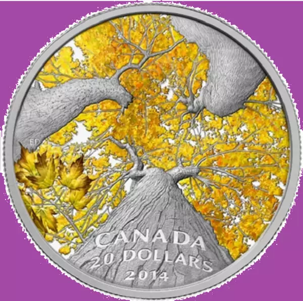 2014 Canada Maple Canopy- Autumn Proof Pure Silver 99.99% $20 Coin Mint Set UNC.