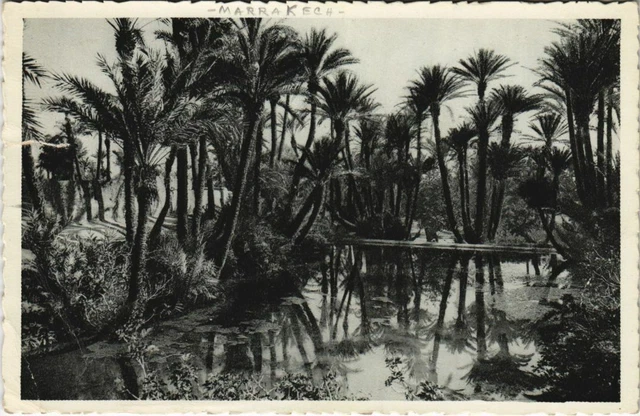 CPA AK MARRAKECH Dans la Palmeraie MOROCCO (23718)