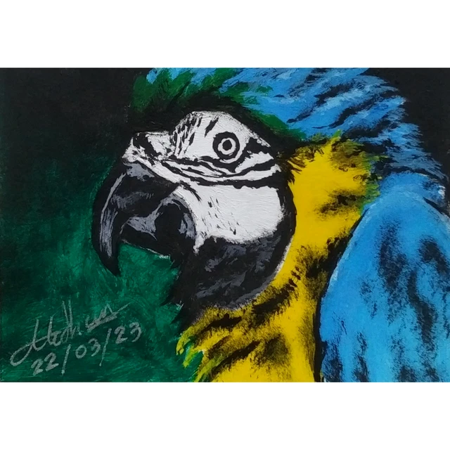 ACEO Original Acrylic Hand Painted "Blue Parrot" Mini Art Card OOAK Signed