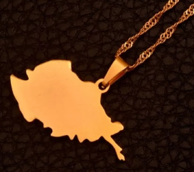 Afghanistan Gold Map Necklace Pendant & Chain Afghan Kabul UK Seller