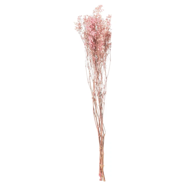 Hill Interiors  Planta Deshidratada Gypsophila (HI4173)