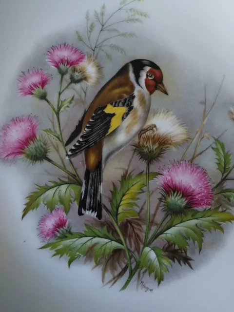 Two Royal Worcester Bird Plates: Finches & Blossom With Gilt Edge – 9” 3