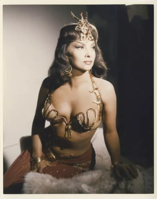 Gina Lollobrigida Solomon and Sheba Busty Exotic Harem Costume Vintage Photo