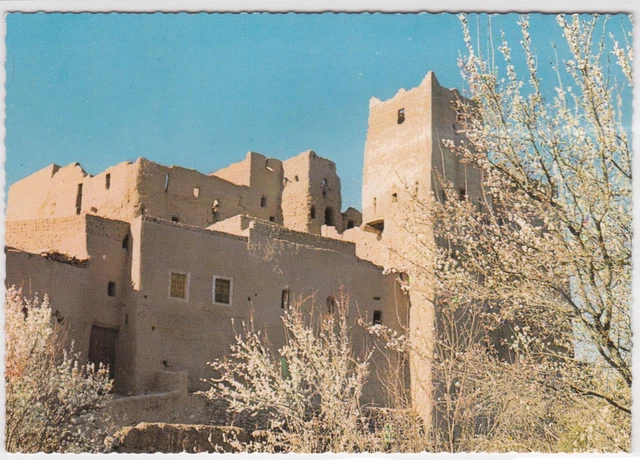 Cpsm Color Postcard Morocco Picturesque Southern Casbah Spring