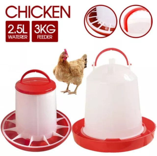 Automatic Chicken Bird Chook Poultry Feeder Drinker Chicken Poultry Bird Waterer