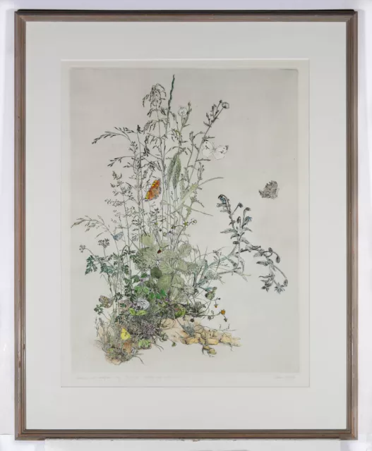 Gillian Whaite (1934-2012) - 20th Century Etching, Grasses and Butterflies 3
