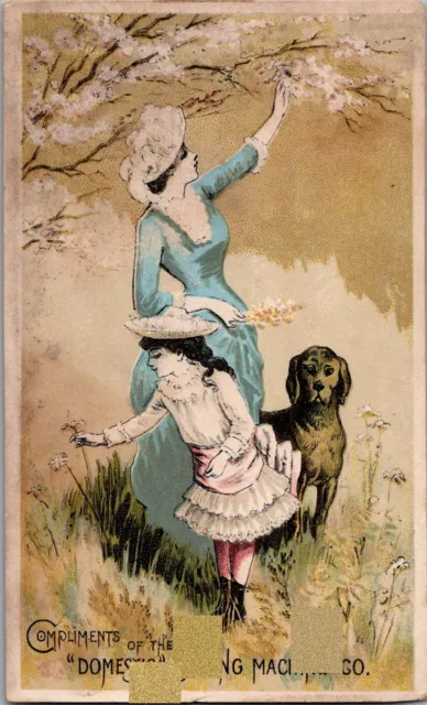 Domestic Sewing Machine Co New York NY Woman Child Dog Victorian Trade Card