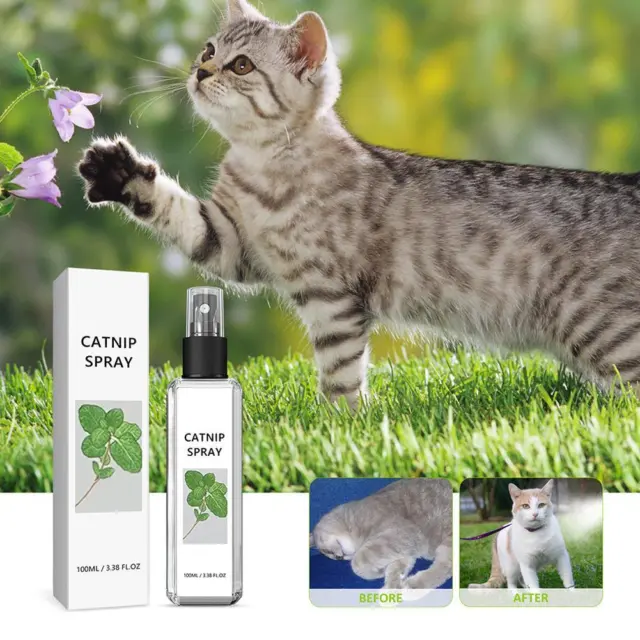 Spray de alegría a base de hierbas para gatos, spray de hierba gatera para mascotas, spray de hierba gatera para gatos venta comercial