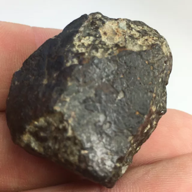 Chondrite Meteorite North West Africa 32 Grams