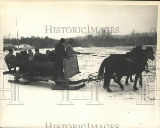 Press Photo Paul McFate drives horse-drawn sled in New Scotland, New York