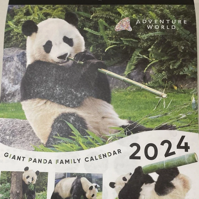 ADVENTURE WORLD PANDA Calendar 2024 74.99 PicClick