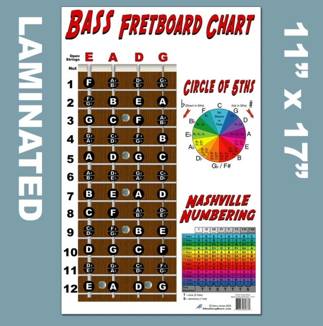 LAMINATED 4 STRING Bass Fretboard Chart Poster Nashville Numbering