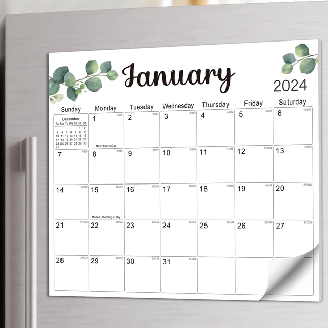 20242025 CALENDAR for Fridge, Jan. 2024June 2025 Monthly