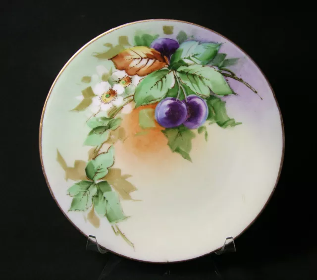 HAND PAINTED PLUMS & BLOSSOMS, BAVARIA PORCELAIN BLANK, EARLY 1900s