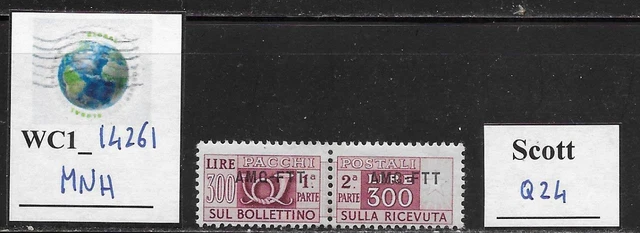 WC1_14261. ITALY: TRIESTE FTT. 300 L. 1949-54 parcel post stamp. Scott Q24. MNH