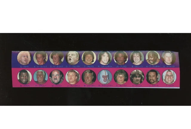 1980’s Wrestling 20x Uncut Sheet Dick Slater Ricky Steamboat Rookie WWE Etc RARE