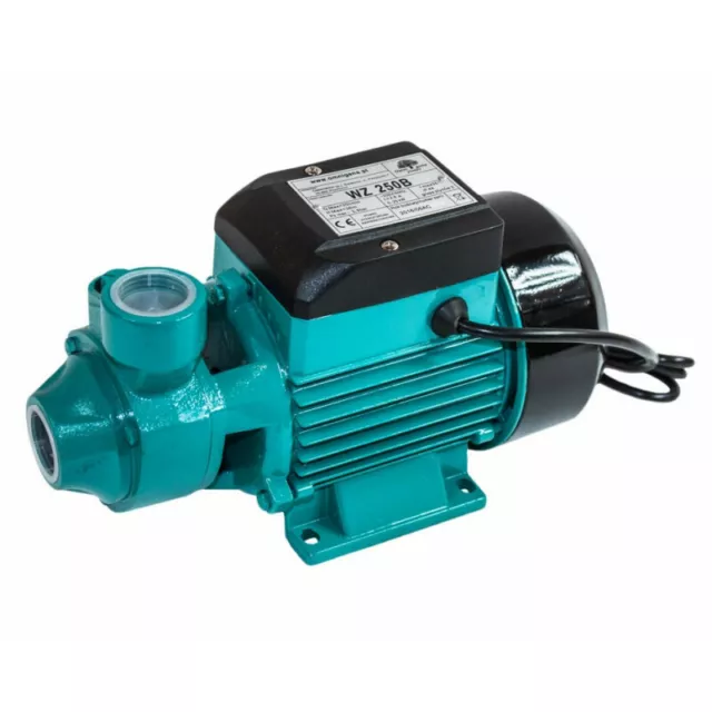 Wasserpumpe 60 l/min 1,1 kW 230V Jetpumpe Gartenpumpe Hauswasserwerk  Kreiselpumpe - Probaumarkt