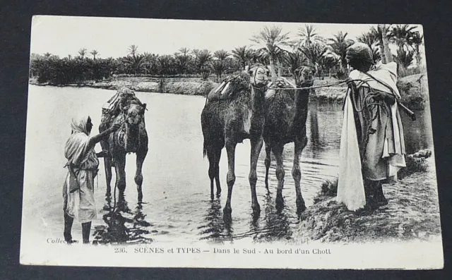 Cpa Carte Postale 1918 Colonie Francaise Maroc Maghreb Afrique Chott