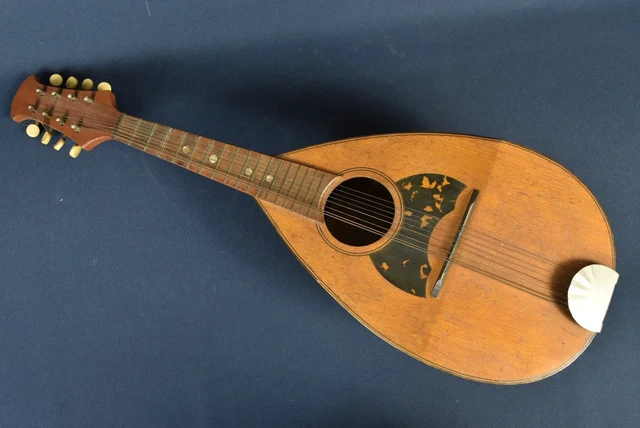 Corde per mandolino | Trova Prezzi Migliori Offerte Online