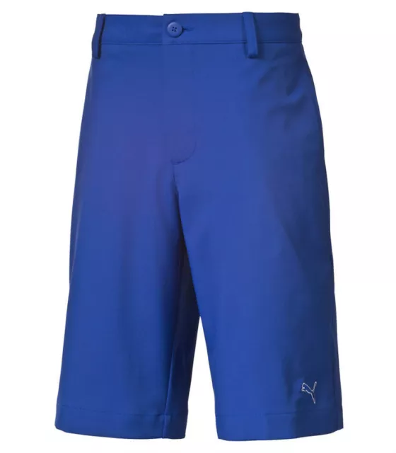 Puma Golf Junior Tech Shorts, Surf Blue, NEW