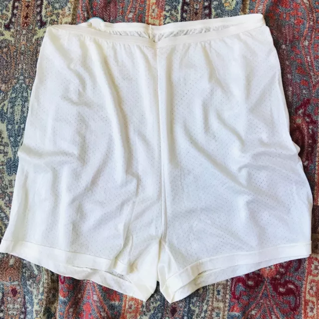 Faerie Surelock Ivory Rayon Mesh High Waist Panty Brief Size 7 Retro Pin-Up
