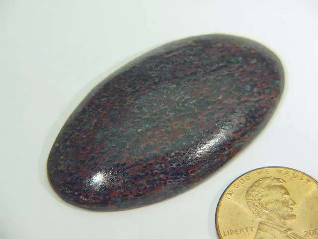 BUTW Agatized dinosaur bone oval cabochon specimen gemstone lapidary 7868B