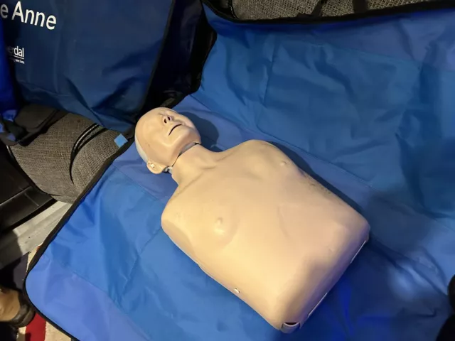 laerdal little anne cpr manikin