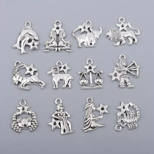 Jewelry Making Zodiac Metal Horoscope Charms Pendants for Necklace Bracelet