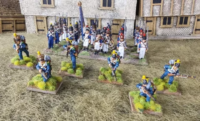 French Napoleonic: Line Infantry 28mm (Pro Painted)  Foundry & Perry Miniatures