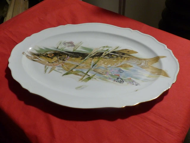 Plat à Poisson,"Brochet"_Porcelaine de LIMOGES_L.G_CONCARNEAU
