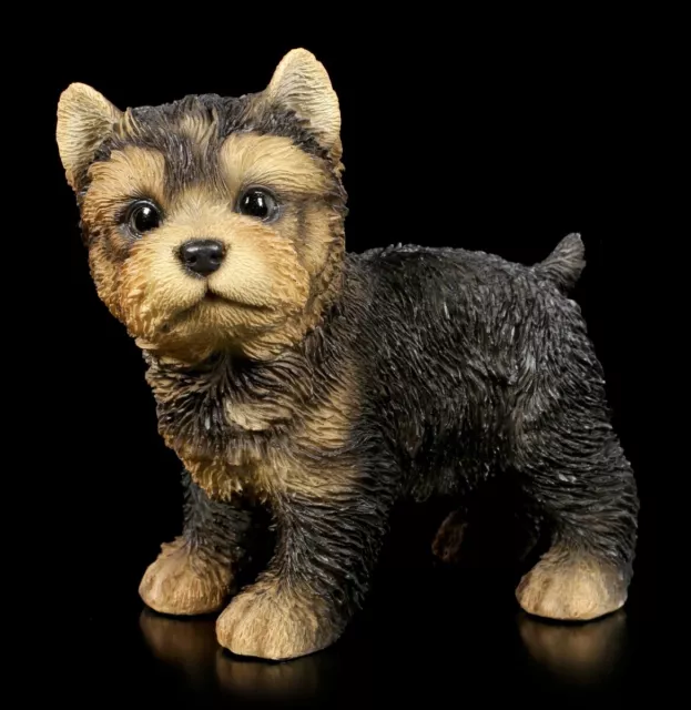 Hunde-Figur - Yorkshire Terrier Cachorro Figura Animal Hunde-Baby H 12,5 CM