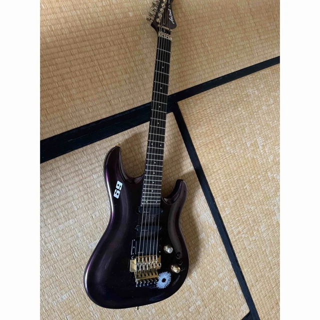 ARIA PRO II The Warrior WR603 Superstrat Floyd Rose Electric