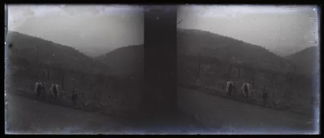 Famille Montagne c1935 Photo NEGATIVE Stereo Plaque verre Vintage V36L2n