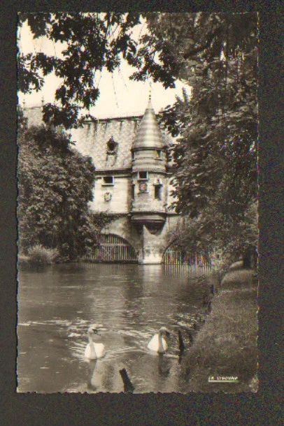 CHALONS-sur-MARNE (51) CYGNE aux JARDINS de la BANQUE "CAISSE D'EPARGNE" en 1950