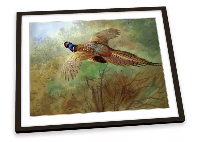 Archibald Thorburn Pheasant in flight FRAMED ART PRINT Picture Poster Artwork