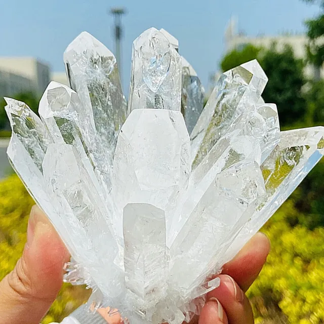 480g New Find white Phantom Quartz Crystal Cluster Mineral Specimen Healing 8