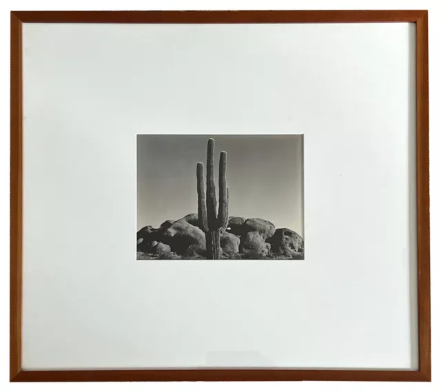 EDWARD WESTON "Saquaro Arizona", 1938,  Original Silver Print Photo Brett Weston