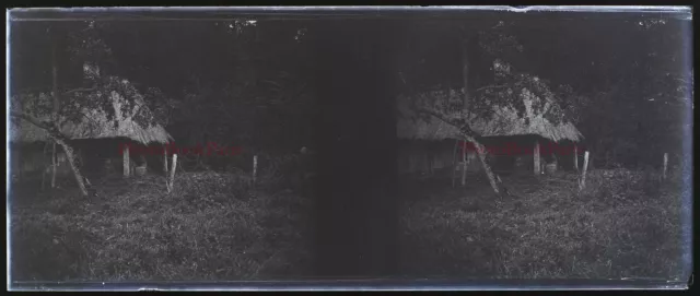 Maison Campagne c1935 Photo NEGATIVE Plaque de verre Stereo Vintage V33L24n