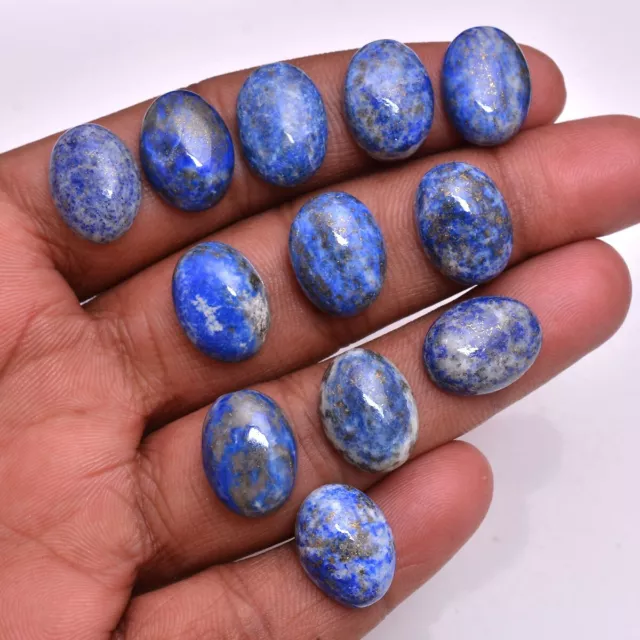 12 Pcs Natural Untreated Lapis Lazuli 16x12mm Oval Loose Cabochon Gemstones Lot