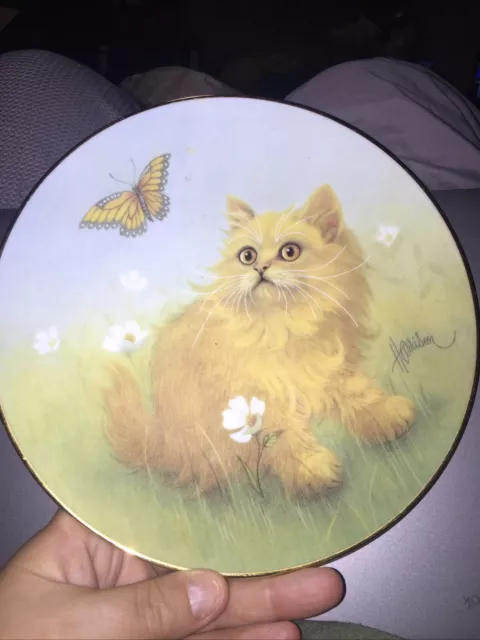 Bob Harrison Cat Collector Plate Curious Kittens Series - DELIGHTFUL DISCOVERY