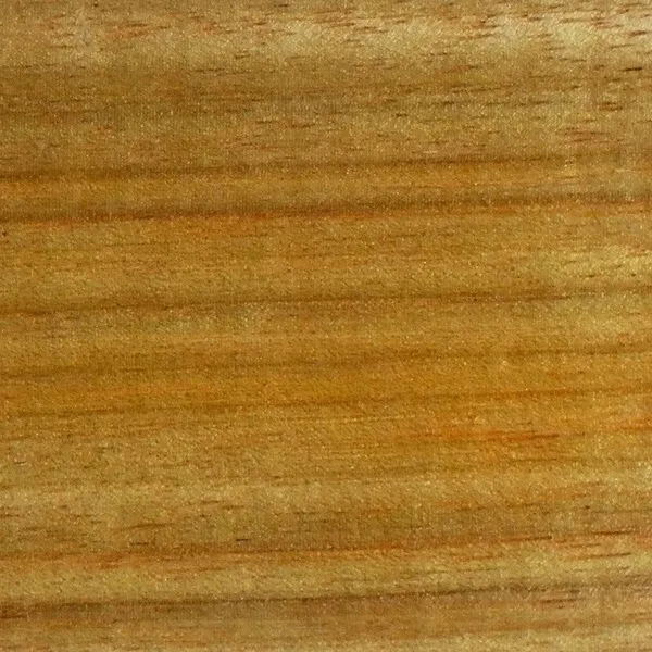 Hermoso BLANCO DE MADERA CANARIA, ¡perfecto para tu proyecto de torneado de madera!