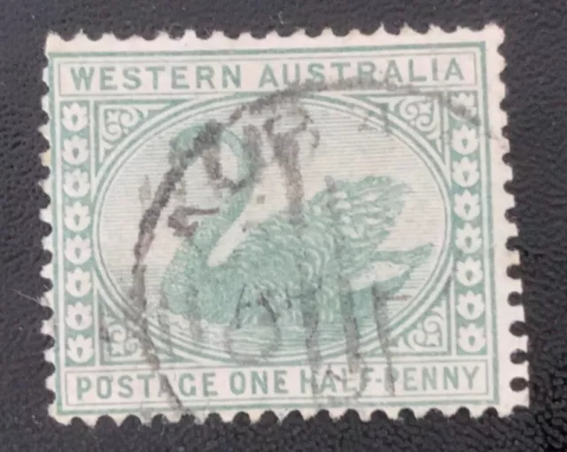 Western Australia - 1885 Swan 1/2d Yellow-Green - Used (SG 94)