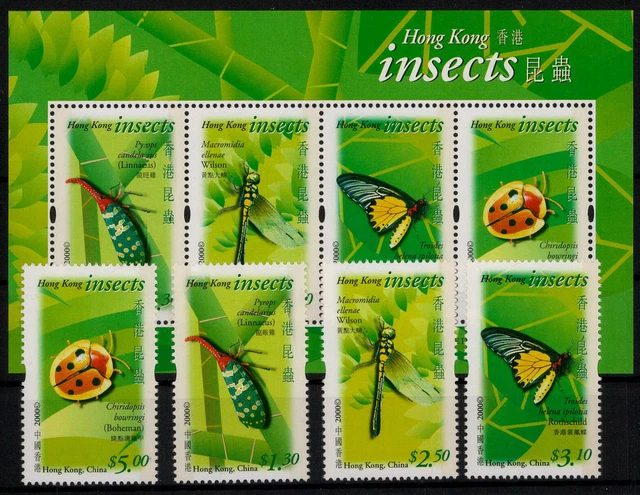 Japan Besetzung II. WK Hongkong; Einheimische Insekten 2000 kpl. **