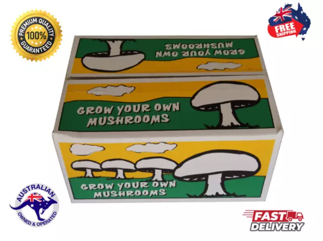 All-In-One Grow Your Own Mushrooms Kit FREE SHIPPING AU