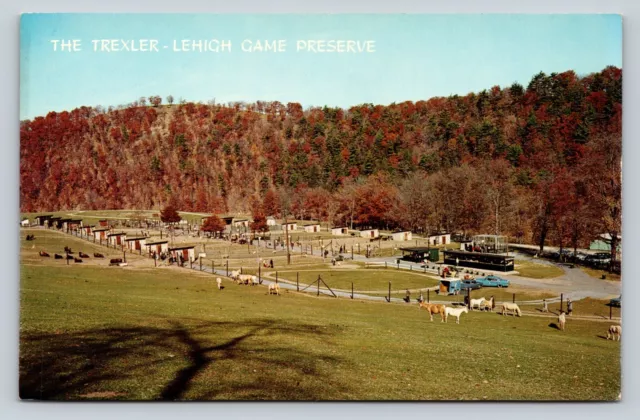 Trexler Lehigh Game Preserve w/ Animals VINTAGE Postcard