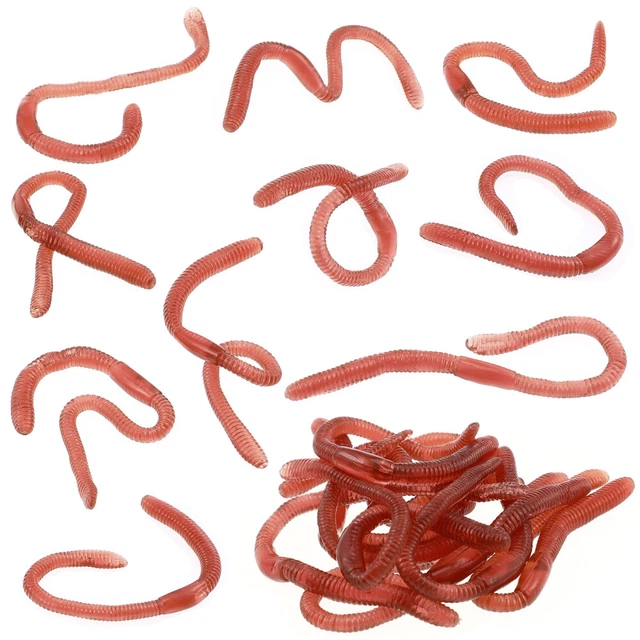 10 elastici per capelli a LED, per donne e ragazze, per feste e feste ( arancione