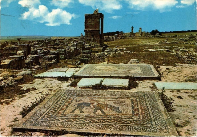CPM AK MAROC - VOLUBILIS-Mosaique de la Maison d'Orphée (328981)