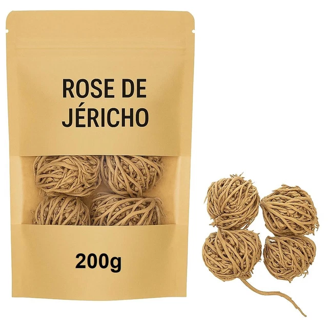 Rose De Jéricho (Chajarat Mariam) 200g - Plante De Résurrection Naturelle
