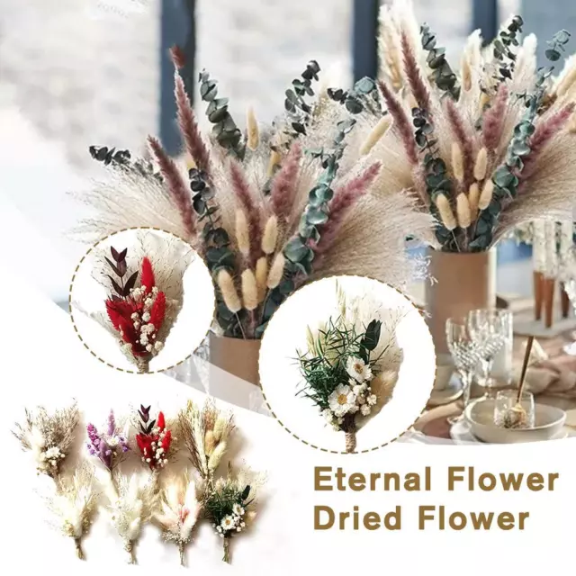 Real Dried Flowers Set Art Craft Epoxy Resin Candle Making Jewelry